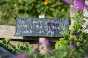 gardening psychological wellness blog
