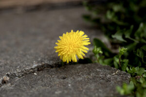 depositphotos 874351366 s