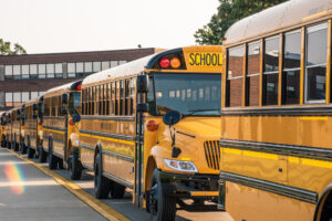 line of yellow buses along sidewalk in front of school